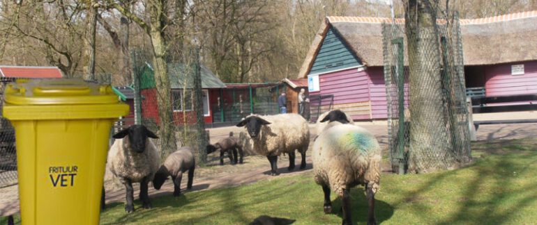 Behoud stadsboerderij Holywood